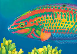   海洋生態