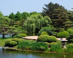 Image of Chicago Botanic Garden