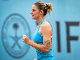 Trend Google: pliskova