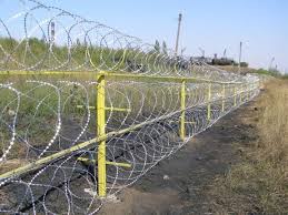 images?q=tbn:ANd9GcRfqgWBSvmZdrtUiAl4sslX8OB-NyynqAFVysxYTnw218R-6z1OeQ