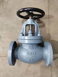 10 K 65 Globe Valve at ₹ 6000/piece | Globe Valves in ...