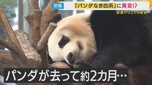 Yahoo!ニュース - News update