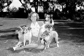 June Lockhart TV’s Beloved Mother From ‘Lassie’ and ‘Lost in Space’ Passes Away at 100