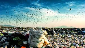 Resultado de imagen para problema ambiental en cd neza