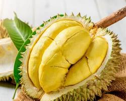 Image of Durian Montong