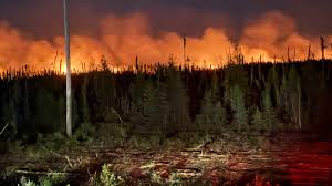 Canada Braces for Potential Severe Wildfire Season in 2026
