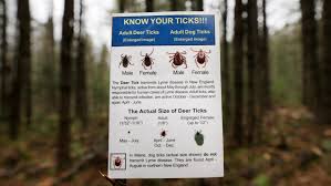 Growing Threat: Lyme Disease Spreading Across Quebec's Towns - 1