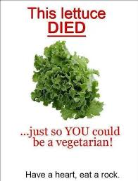 images?q=tbn:ANd9GcRgFxA8kKRjJU7B0u5X1o-mTbAx3DxpnWgEWcM9dTEhAg5nqiYz