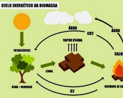 Biomassa