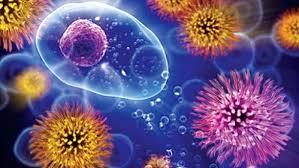 Image result for microbes