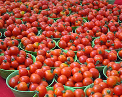 Image of Tomatoes nigeria