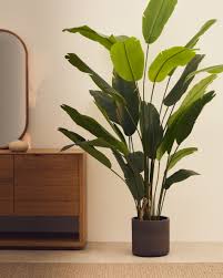 Bananier artificiel avec pot noir 210 cm | Kave Home