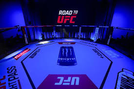 Road to UFC Season 5: Macau Day 1 Results and Highlights