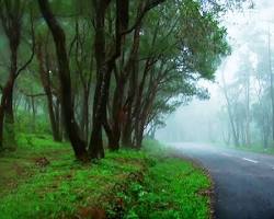 Image of Ponmudi, Trivandrum