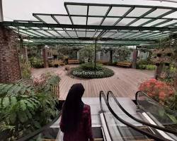 Gambar Kebun Bunga Matahari Blitar