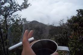 Hasil gambar untuk pecinta alam indonesia