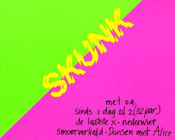 Afbeelding van Doe Maar Skunk (CD) on Tweedehands CD