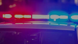 9 Now : la sortie qui fait sensation — image 5