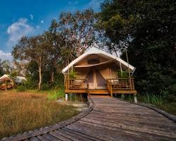 Image of Ecolodge in the Cardamom Mountains