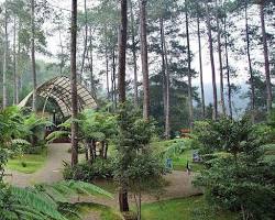 Gambar Orchid Forest Cikole Lembang