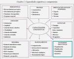 Funciones cognitivas ejecutivas