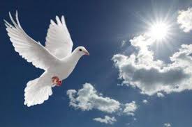 Image result for angels