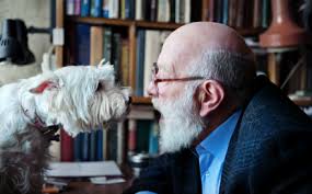 Image result for dogs & the elderly