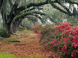 Resultado de imagen para imagenes de paisajes hermosos