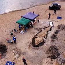 Dinosaur bones were discovered this week in the UK