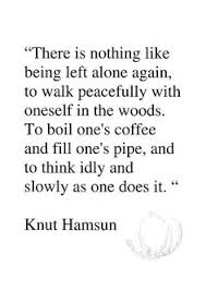 Quotable - Knut Hamsun | Literary Quotes | Pinterest via Relatably.com