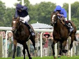 At The Races - News update