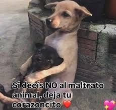 🥰🥰🥰