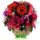 Teleflora: Flowers Flower Delivery Send Fresh Flowers Online