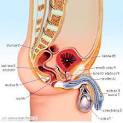 Trop de masturbation nuit a la prostate a 40? - Prostate - FORUM