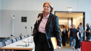 rentenreform selbstständige