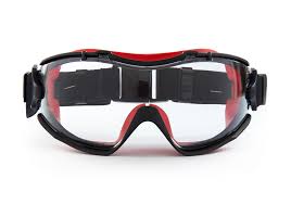 RILEY VELIA GOGGLE : Safety Equipment & PPE Workwear | North ...