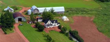 Image result for prince edward island farms