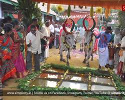 Image of Tamil Nadu Agricultural University students celebrating a cultural festival
