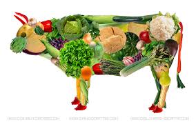 Resultado de imagen de COMIDA VEGANA