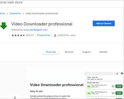 Image of Video Downloader Professional extension interface