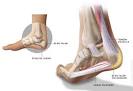 Douleurs au pie identifiez votre douleur du pied quilibre