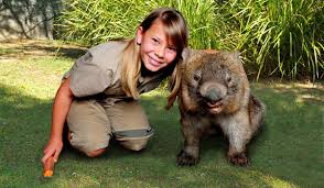 Image result for wombat