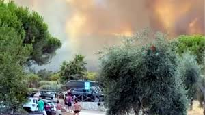 Trend Google: maratea