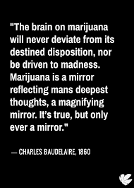Quotes About Pot Stirrers. QuotesGram via Relatably.com