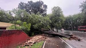 The Indian Express - News update