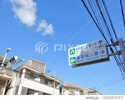 那覇の街並みと交通標識の画像