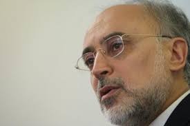 Head of the Atomic Energy Organization of Iran (AEOI) Ali Akbar Salehi. Iran has put forward a proposal to Russia to establish a joint nuclear consortium to ... - rabbani20100826064219200