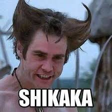 Slika