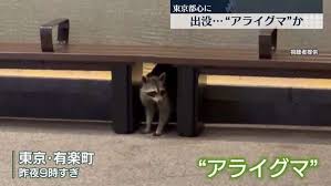 au Webポータル - News update