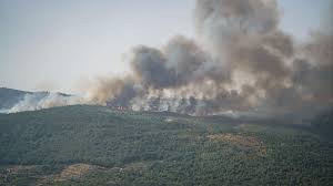 RTVE.es - News update
